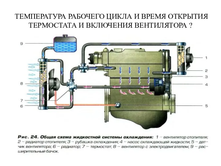 ТЕМПЕРАТУРА РАБОЧЕГО ЦИКЛА И ВРЕМЯ ОТКРЫТИЯ ТЕРМОСТАТА И ВКЛЮЧЕНИЯ ВЕНТИЛЯТОРА ?