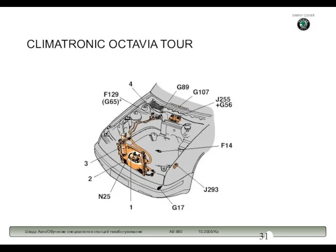 CLIMATRONIC OCTAVIA TOUR