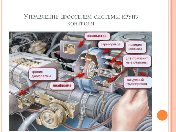 Управление дросселем системы круиз контроля Мощность Двигателя 130 л/с Максимальная скорость