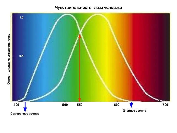 λ Относительная чувствительность Чувствительность глаза человека 500 550 600 700 400