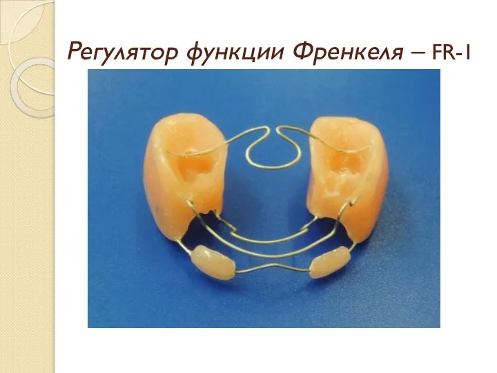 Регулятор функции Френкеля – FR-1