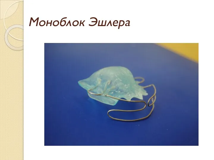 Моноблок Эшлера