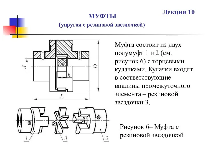 МУФТЫ (упругая с резиновой звездочкой) Лекция 10 Рисунок 6– Муфта с