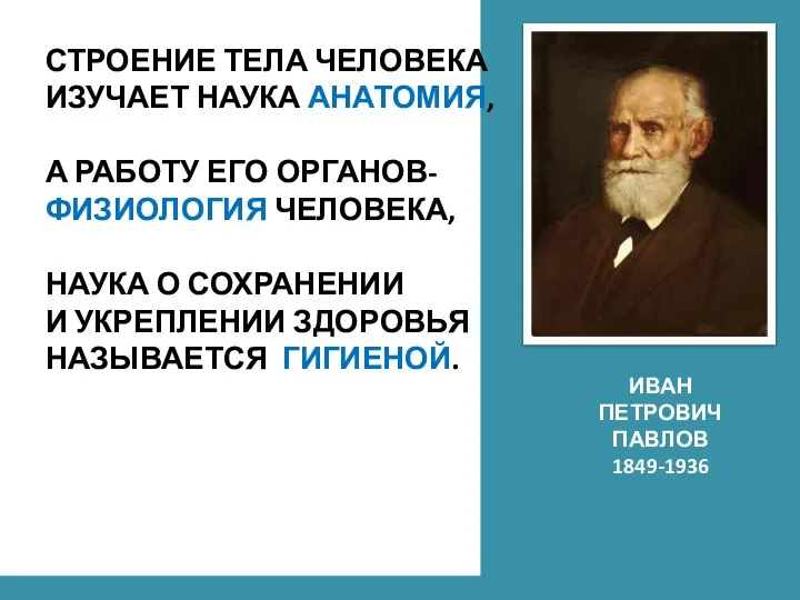 СТРОЕНИЕ ТЕЛА ЧЕЛОВЕКА ИЗУЧАЕТ НАУКА АНАТОМИЯ, А РАБОТУ ЕГО ОРГАНОВ- ФИЗИОЛОГИЯ