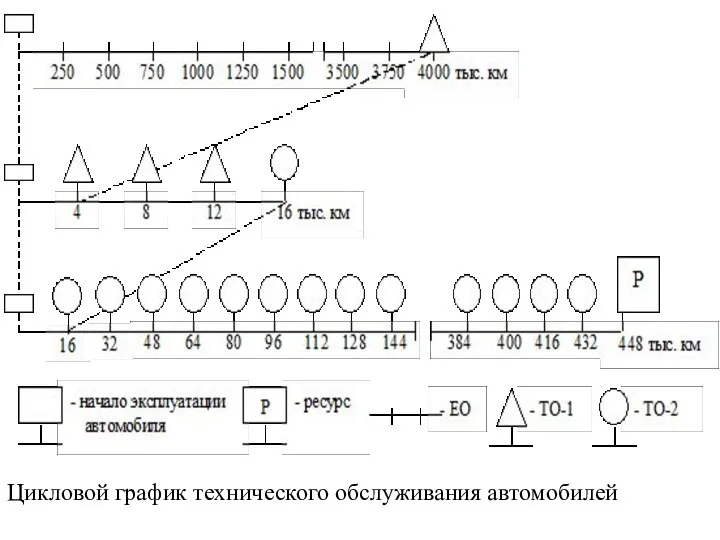 Цикловой график технического обслуживания автомобилей