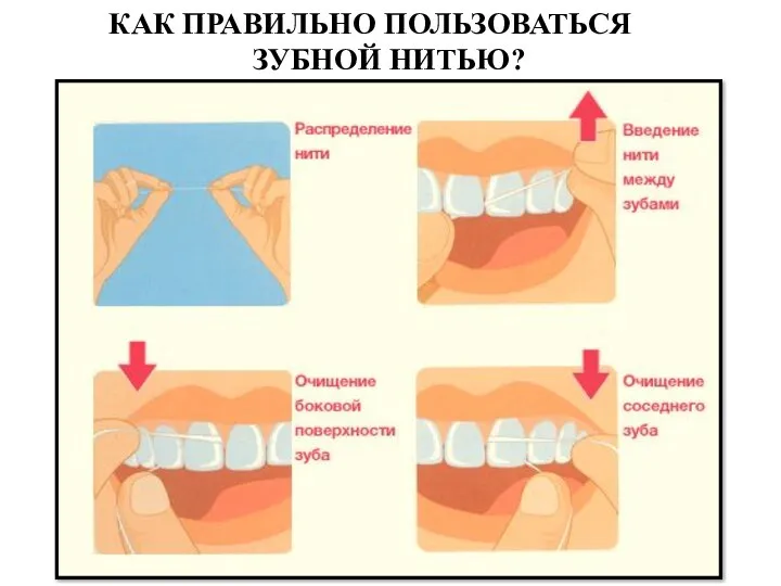 КАК ПРАВИЛЬНО ПОЛЬЗОВАТЬСЯ ЗУБНОЙ НИТЬЮ?