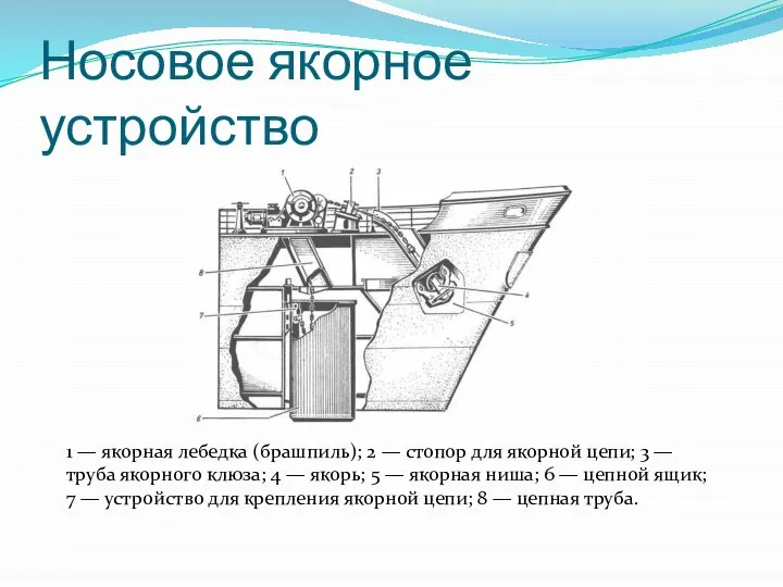 Носовое якорное устройство 1 — якорная лебедка (брашпиль); 2 — стопор