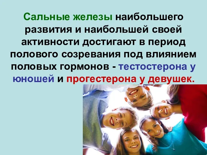 Сальные железы наибольшего развития и наибольшей своей активности достигают в период