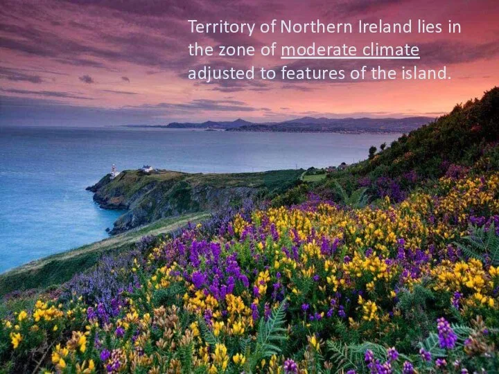 Territory of Northern Ireland lies in the zone of moderate climate