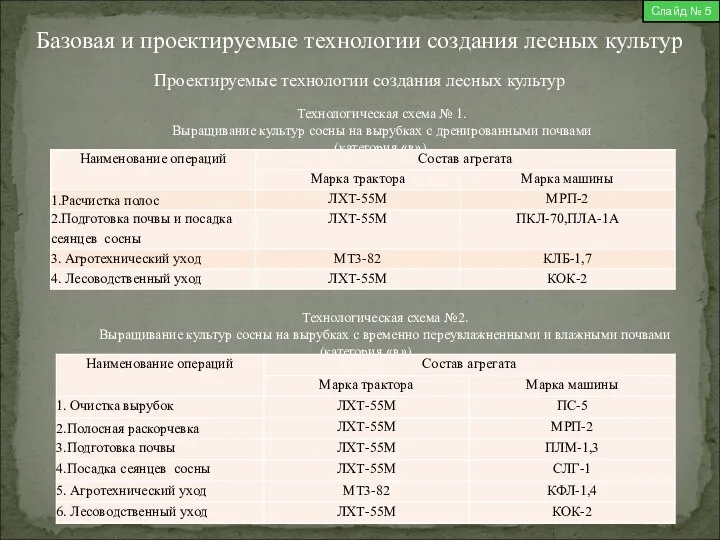 Слайд № 5 Технологическая схема № 1. Выращивание культур сосны на