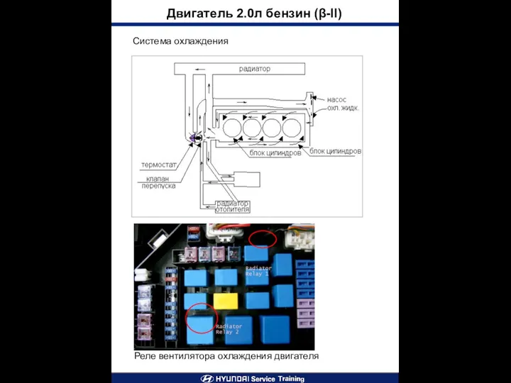 Система охлаждения Двигатель 2.0л бензин (β-II) Реле вентилятора охлаждения двигателя