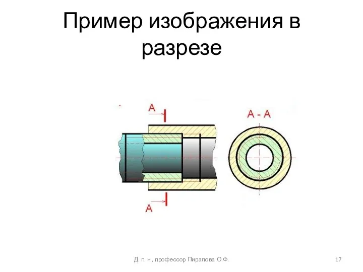 Пример изображения в разрезе Д. п. н., профессор Пиралова О.Ф.