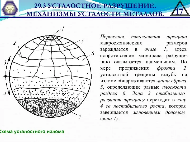 29.3 УСТАЛОСТНОЕ РАЗРУШЕНИЕ. МЕХАНИЗМЫ УСТАЛОСТИ МЕТАЛЛОВ. Схема усталостного излома Первичная усталостная