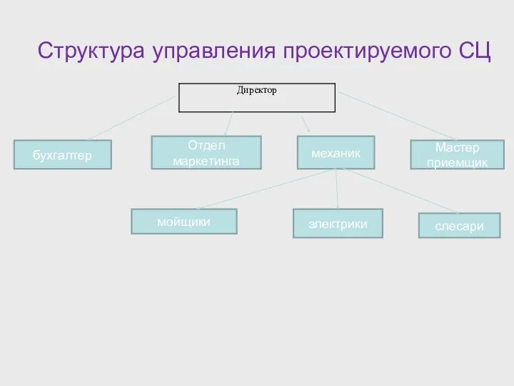 Структура управления проектируемого СЦ Отдел маркетинга механик Мастер приемщик бухгалтер мойщики электрики слесари