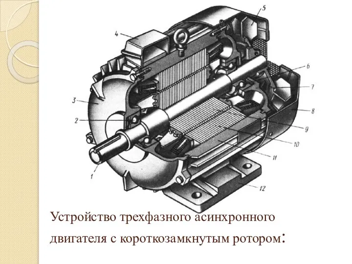 Устройство трехфазного асинхронного двигателя с короткозамкнутым ротором: