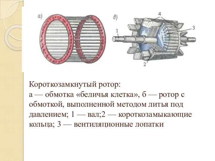 Короткозамкнутый ротор: а — обмотка «беличья клетка», б — ротор с
