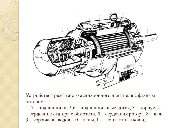 Устройство трехфазного асинхронного двигателя с фазным ротором: 1, 7 – подшипники,