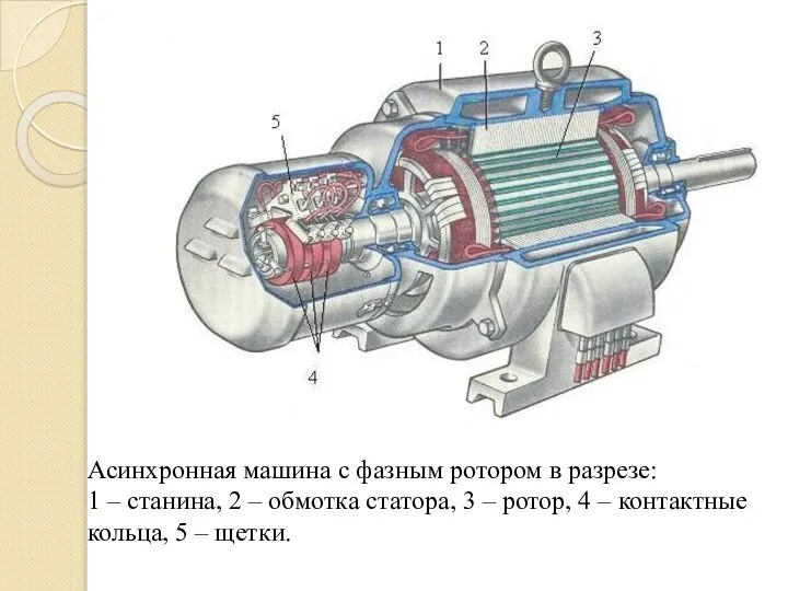 Асинхронная машина с фазным ротором в разрезе: 1 – станина, 2