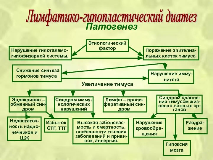 Патогенез Лимфатико-гипопластический диатез Нарушение гипоталамо- гипофизарной системы. Этиологический фактор Поражение эпителиа-