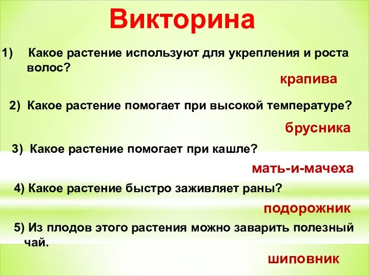 Викторина Какое растение используют для укрепления и роста волос? крапива 2)