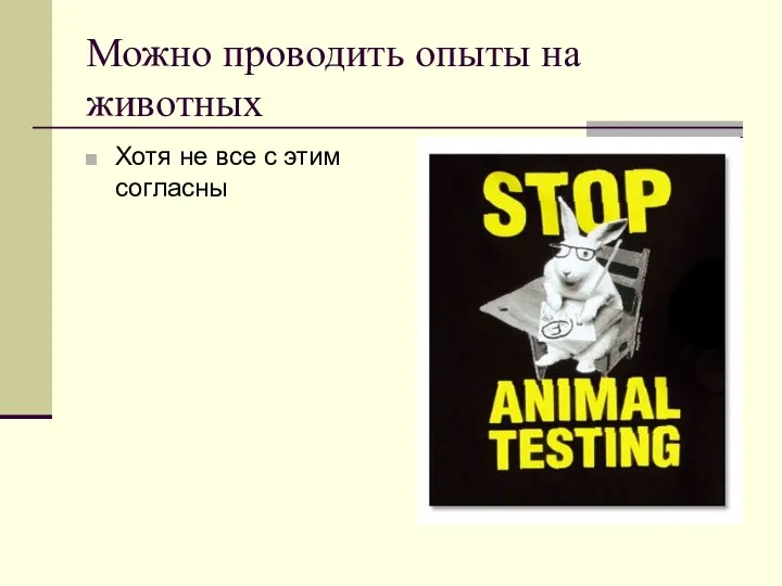 Можно проводить опыты на животных Хотя не все с этим согласны