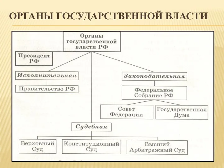 ОРГАНЫ ГОСУДАРСТВЕННОЙ ВЛАСТИ