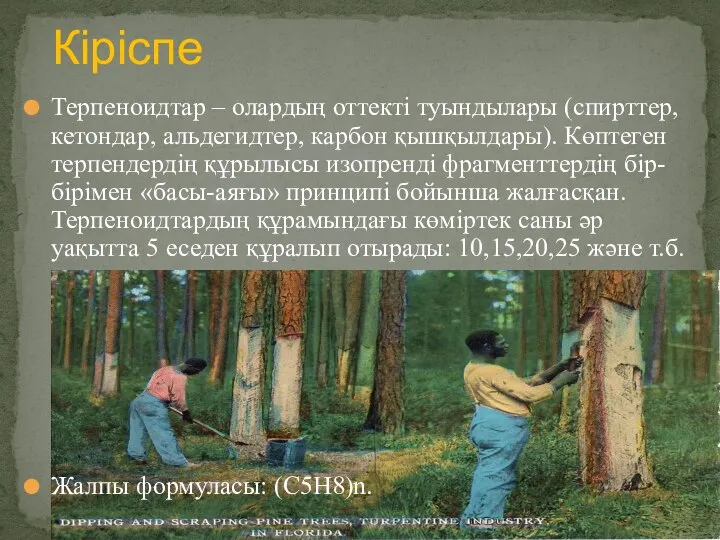 Терпеноидтар – олардың оттекті туындылары (спирттер, кетондар, альдегидтер, карбон қышқылдары). Көптеген