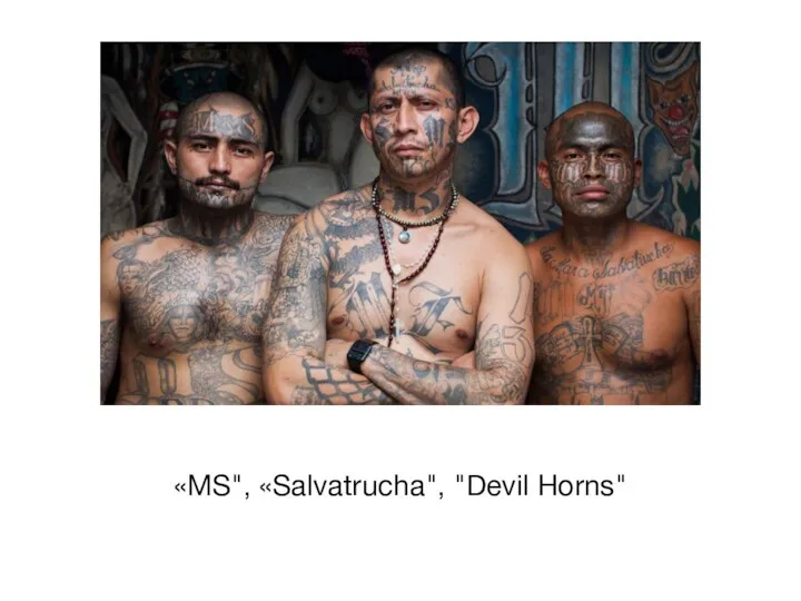 «MS", «Salvatrucha", "Devil Horns"