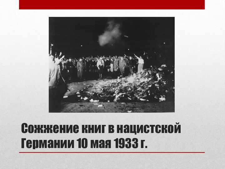 Сожжение книг в нацистской Германии 10 мая 1933 г.