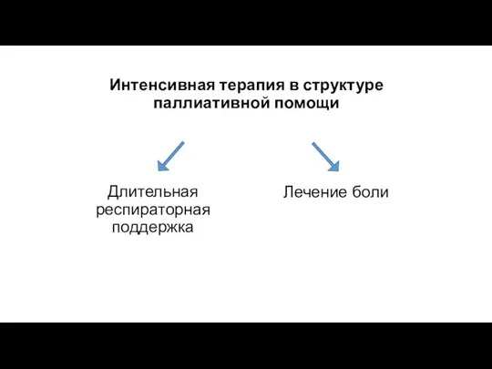 Интенсивная терапия в структуре паллиативной помощи Длительная респираторная поддержка Лечение боли