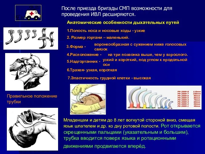 Младенцам и детям до 8 лет вогнутой стороной вниз, смещая язык