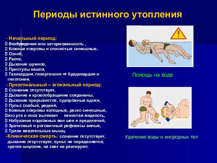 Периоды истинного утопления Начальный период: Возбуждение или заторможенность , Кожные покровы