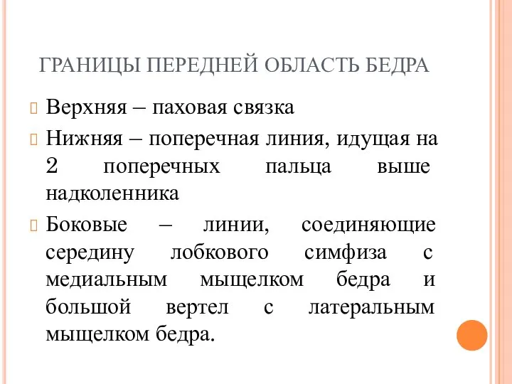 ГРАНИЦЫ ПЕРЕДНЕЙ ОБЛАСТЬ БЕДРА Верхняя – паховая связка Нижняя – поперечная