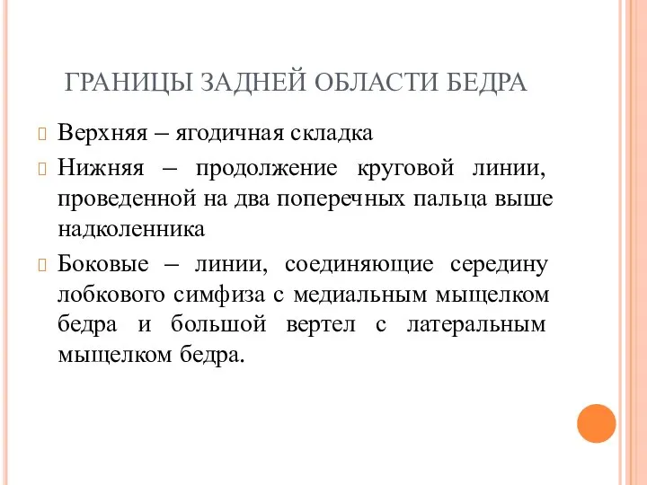 ГРАНИЦЫ ЗАДНЕЙ ОБЛАСТИ БЕДРА Верхняя – ягодичная складка Нижняя – продолжение