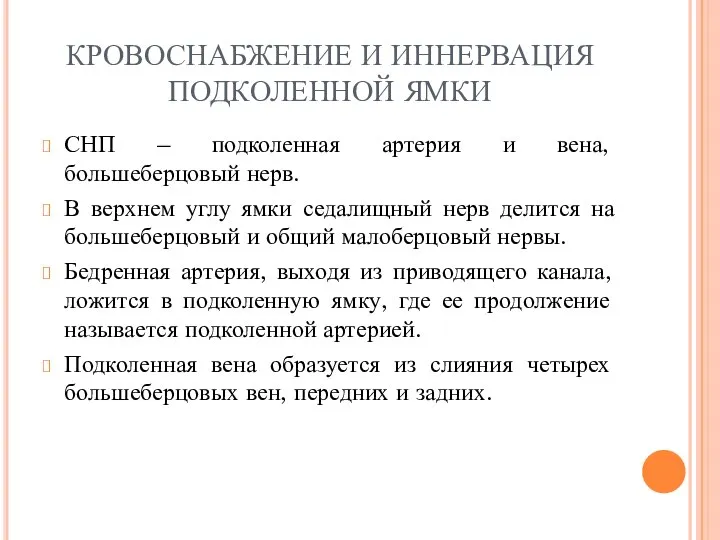 КРОВОСНАБЖЕНИЕ И ИННЕРВАЦИЯ ПОДКОЛЕННОЙ ЯМКИ СНП – подколенная артерия и вена,