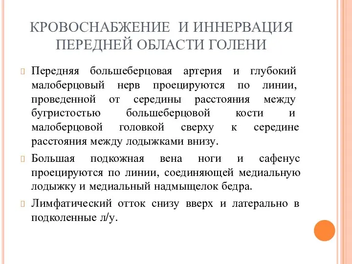 КРОВОСНАБЖЕНИЕ И ИННЕРВАЦИЯ ПЕРЕДНЕЙ ОБЛАСТИ ГОЛЕНИ Передняя большеберцовая артерия и глубокий