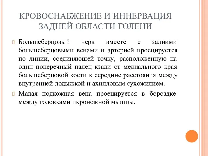 КРОВОСНАБЖЕНИЕ И ИННЕРВАЦИЯ ЗАДНЕЙ ОБЛАСТИ ГОЛЕНИ Большеберцовый нерв вместе с задними