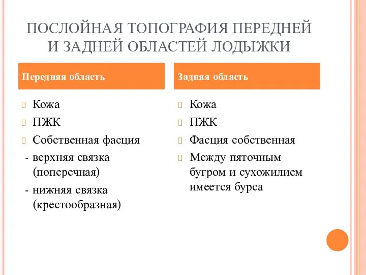 ПОСЛОЙНАЯ ТОПОГРАФИЯ ПЕРЕДНЕЙ И ЗАДНЕЙ ОБЛАСТЕЙ ЛОДЫЖКИ Кожа ПЖК Собственная фасция