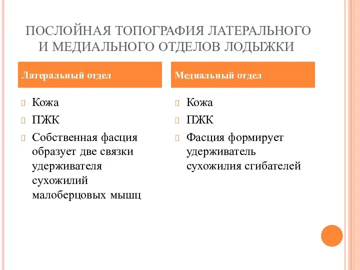 ПОСЛОЙНАЯ ТОПОГРАФИЯ ЛАТЕРАЛЬНОГО И МЕДИАЛЬНОГО ОТДЕЛОВ ЛОДЫЖКИ Кожа ПЖК Собственная фасция