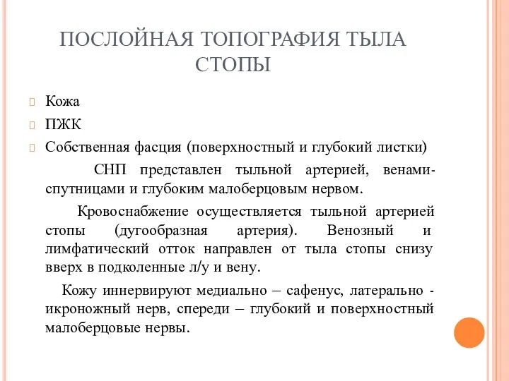 ПОСЛОЙНАЯ ТОПОГРАФИЯ ТЫЛА СТОПЫ Кожа ПЖК Собственная фасция (поверхностный и глубокий