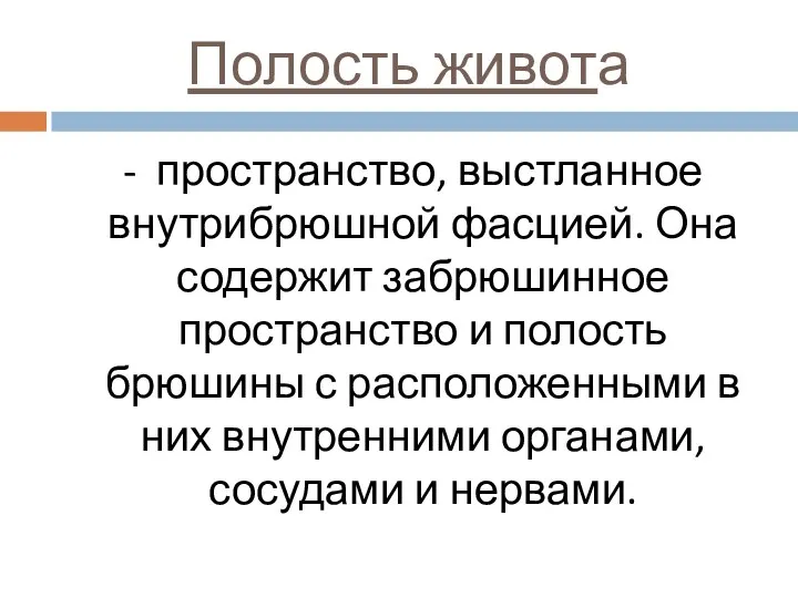 Полость живота - пространство, выстланное внутрибрюшной фасцией. Она содержит забрюшинное пространство