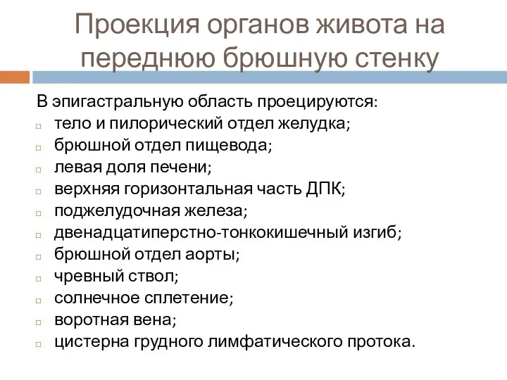 Проекция органов живота на переднюю брюшную стенку В эпигастральную область проецируются: