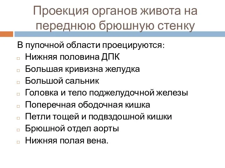 Проекция органов живота на переднюю брюшную стенку В пупочной области проецируются: