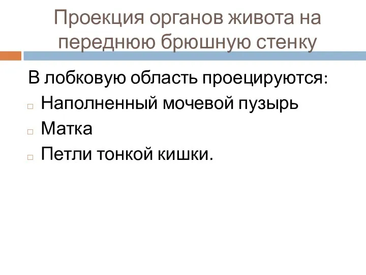 Проекция органов живота на переднюю брюшную стенку В лобковую область проецируются: