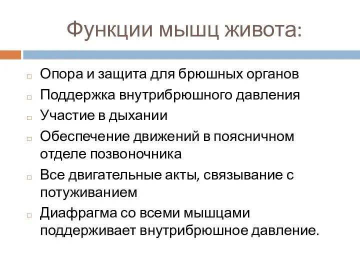 Функции мышц живота: Опора и защита для брюшных органов Поддержка внутрибрюшного