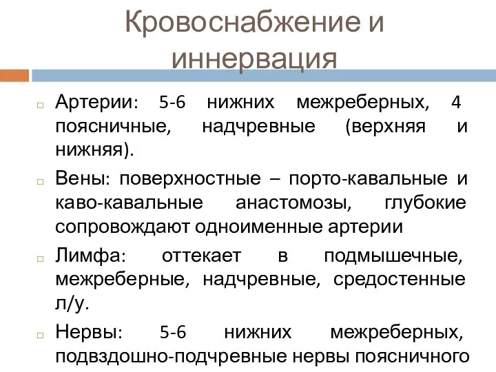 Кровоснабжение и иннервация Артерии: 5-6 нижних межреберных, 4 поясничные, надчревные (верхняя