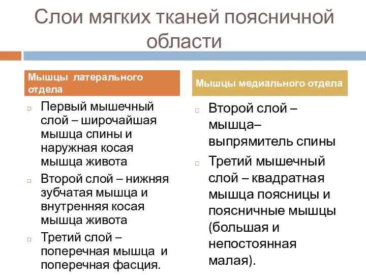 Слои мягких тканей поясничной области Первый мышечный слой – широчайшая мышца