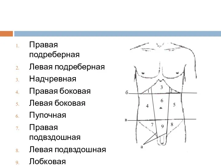 Правая подреберная Левая подреберная Надчревная Правая боковая Левая боковая Пупочная Правая подвздошная Левая подвздошная Лобковая