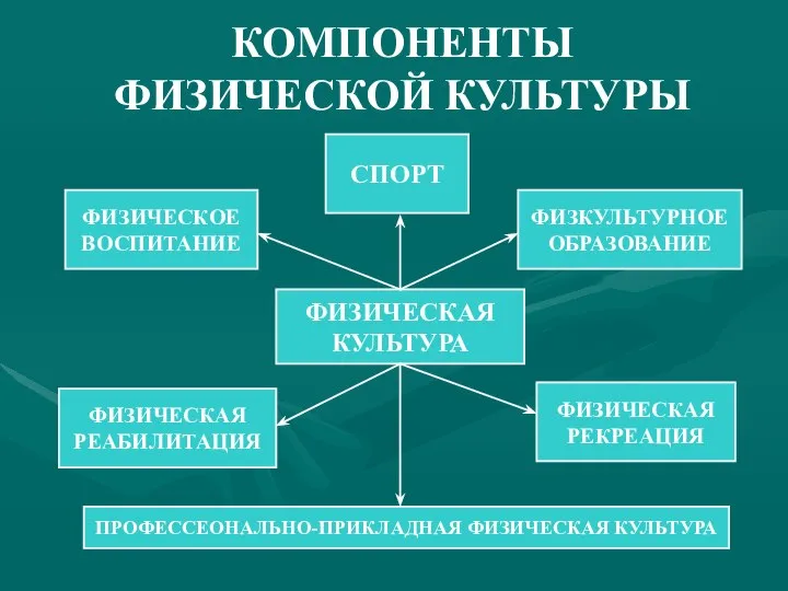 КОМПОНЕНТЫ ФИЗИЧЕСКОЙ КУЛЬТУРЫ ФИЗИЧЕСКАЯ КУЛЬТУРА ФИЗИЧЕСКОЕ ВОСПИТАНИЕ СПОРТ ФИЗКУЛЬТУРНОЕ ОБРАЗОВАНИЕ ФИЗИЧЕСКАЯ