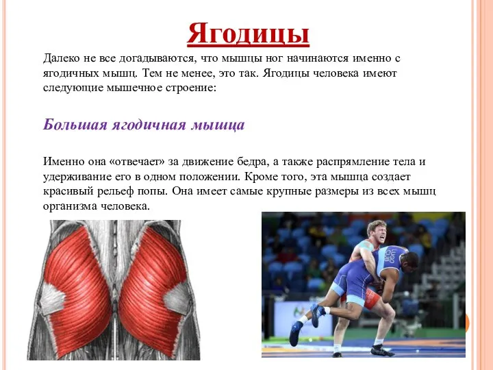 Ягодицы Далеко не все догадываются, что мышцы ног начинаются именно с